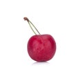 Cherry isolated on white background single Royalty Free Stock Photo