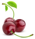 Cherry isolated on white background. Three Cherries group Royalty Free Stock Photo