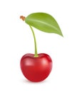 Cherry isolated on white. Sweet fruit. Realistic illustration