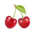 Cherry isolated on white. Sweet fruit. Realistic vector illustration