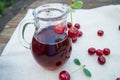 Cherry juice in a carafe, cherries lying on the napkin on the natural outdoor background Royalty Free Stock Photo