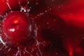 Cherry juice splash with fresh berry. close up Royalty Free Stock Photo