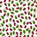 Cherry juicy summer seamless pattern with a picture of ripe red cherries and green leaves. Summer print. Vector Royalty Free Stock Photo