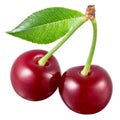 Cherry with leaf isolated on white background Royalty Free Stock Photo