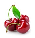 Cherry with leaf isolated on white. Royalty Free Stock Photo