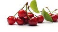 Cherry with leaves close-up on a white background. Juicy red cherries. AI generated