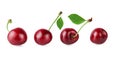 Cherry with leaves, isolated on a white background Royalty Free Stock Photo