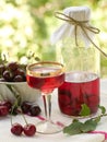 Cherry liquor Royalty Free Stock Photo