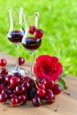 Cherry liquor Royalty Free Stock Photo