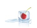 Cherry in a melted ice cube