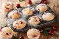 Cherry muffins fresh and homemade baked in a muffin pan closeup. Horizontal