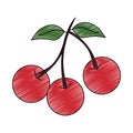 Cherry natural fruit scribble