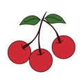 Cherry natural fruit