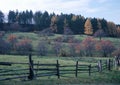 Cherry orchard in the fall