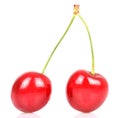 Cherry pair on white macro shot Royalty Free Stock Photo