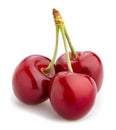 Cherry path isolated