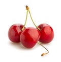 cherry path isolated