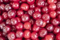 Cherry pattern. Sweet cherry background texture. Ripe sweet red cherriy. Top view. Sweet ripe cherry bunch. Macro photo fresh Royalty Free Stock Photo