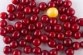 Cherry pattern. Variety of red fruits and one yellow on white background. Top view, flay lay