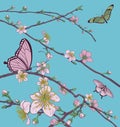 Cherry Peach Blossom Tree Flowers and Butterflies