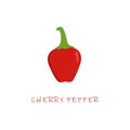 cherry pepper flat design vector illustration. cherry chili