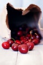 Cherry