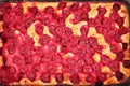 Cherry pie close up Royalty Free Stock Photo