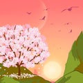 cherry pink blossoms Royalty Free Stock Photo