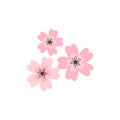 Cherry pink flower, spring sakura blossom vector icon set.