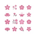 Cherry pink flower, spring sakura blossom vector icon set Royalty Free Stock Photo