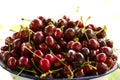 Cherry on a plate Royalty Free Stock Photo