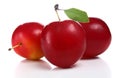 Cherry-plum