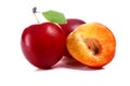 Cherry-plum