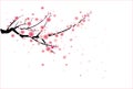 Cherry or plum blossom pattern Royalty Free Stock Photo