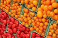 Cherry and Plum Tomatoes at Market Royalty Free Stock Photo