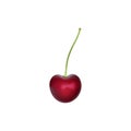 Cherry Realistic 3d Vector. Ripe Red Cherry Berries. Detailed 3d Illustration Isolated On White. Design Element For Web Or Print Royalty Free Stock Photo