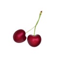 Cherry Realistic 3d Vector. Ripe Red Cherry Berries. Detailed 3d Illustration Isolated On White. Design Element For Web Or Print Royalty Free Stock Photo