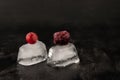 Cherry and red currant on ice cubes Royalty Free Stock Photo