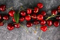 Cherry. Red fresh Cherries in bowl and a bunch of cherries on th Royalty Free Stock Photo