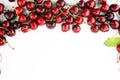 Cherry. Red fresh Cherries in bowl and a bunch of cherries on th Royalty Free Stock Photo