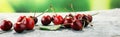 Cherry. Red fresh Cherries in bowl and a bunch of cherries on th Royalty Free Stock Photo