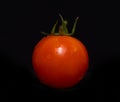 Cherry Red mature tomato isolated on a black background Royalty Free Stock Photo
