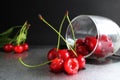 Cherry red ripe berry fell out of the glass on a black background with the est for the text. vitamins seasonal berry hemoglobin