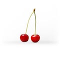 Cherry and Red vector