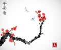 Cherry sakura tree branch in blossom and two dragonflies on white background. Traditional oriental ink painting sumi-e