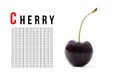 Cherry Royalty Free Stock Photo
