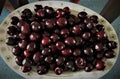 Cherry seeds in a white plate