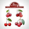 Cherry Set of fresh fruit, whole, half and bitten with leaf. Vector illustration. Isolated