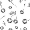 Cherry sketch pattern. Hand painted cherry berries, seamless backdrop. Royalty Free Stock Photo