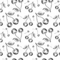 Cherry sketch pattern. Hand painted cherry berries, seamless backdrop on a transparent background Royalty Free Stock Photo
